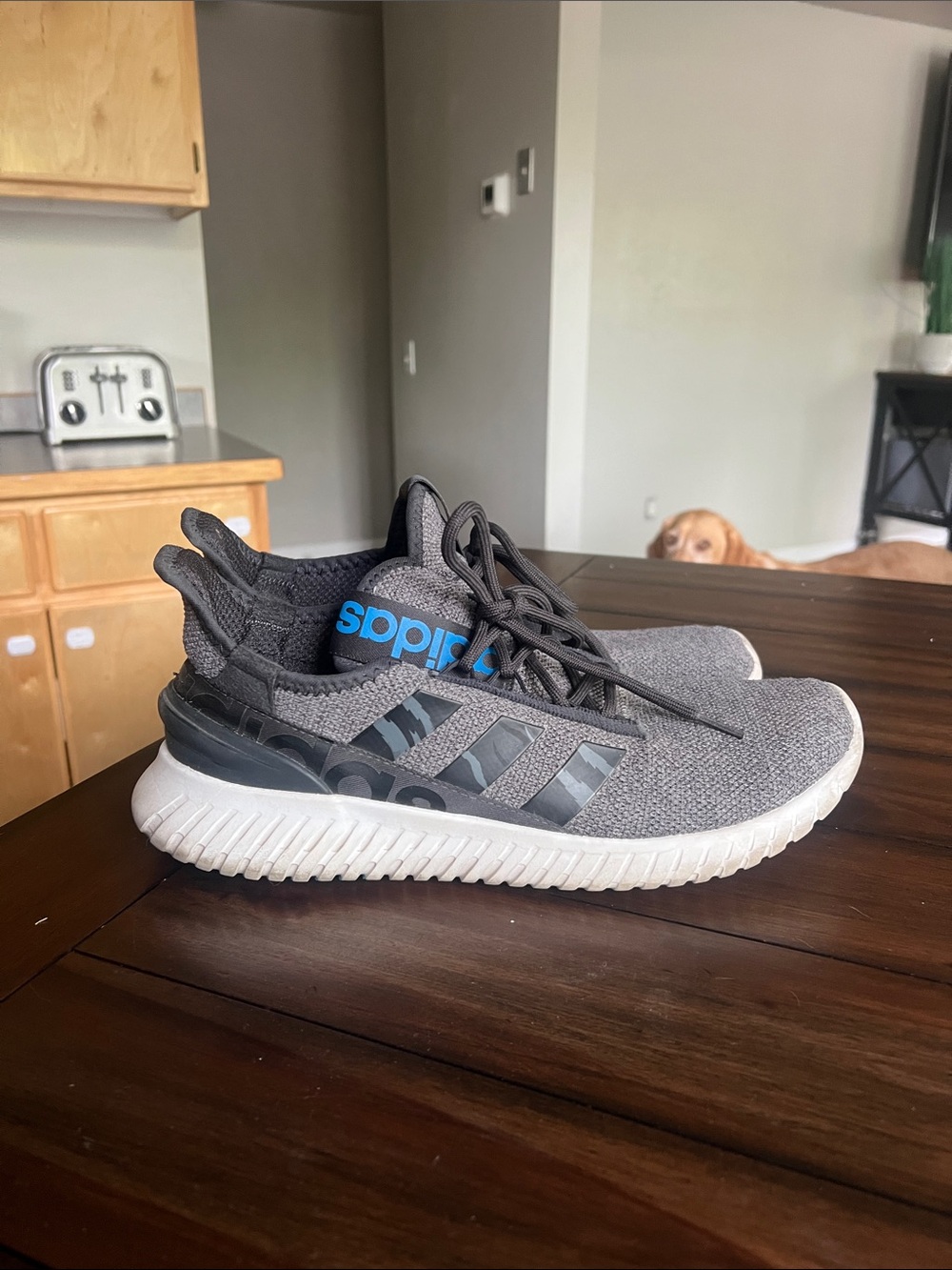 adidas Kids Gray Knit Sneakers with Blue Logo